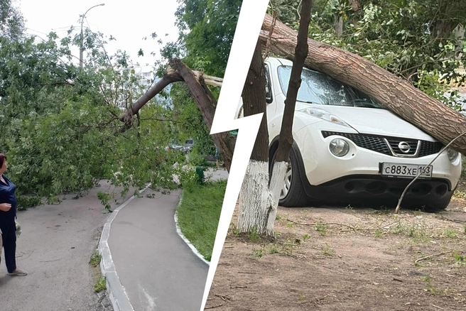 Непогода повалила сразу несколько деревьев в областной столице | Источник: Честная Самара / Vk.ru
