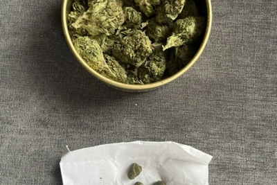 В Астраханской области пресекли незаконное выращивание конопли