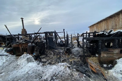 Двое погибли при пожаре на конюшне в Сысерти