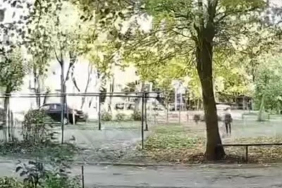 В Уфе доберман напал на ребенка на площадке