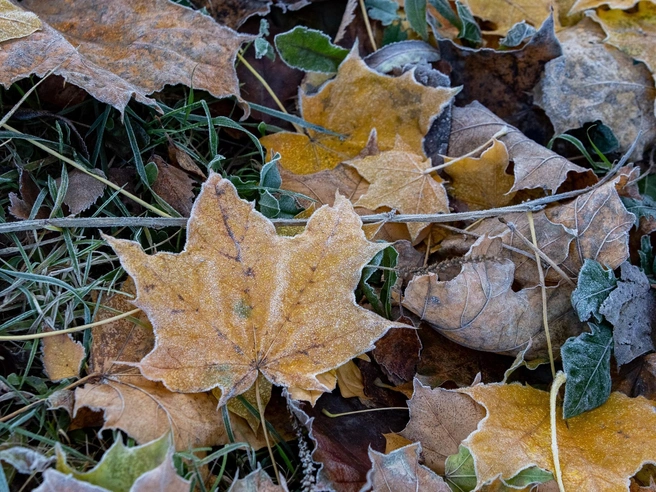 Ожидаемая погода в Центральной России в ноябре | Источник: Кирилл Поверинов / 76.RU