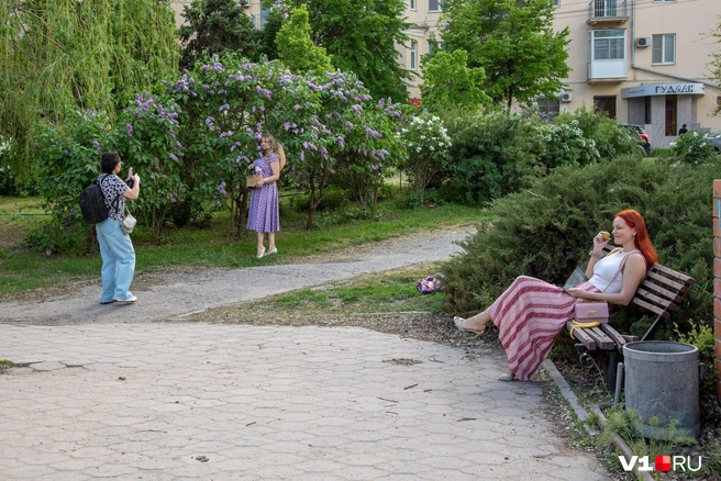 Красавицы подбирают наряды под цвет кустарников | Источник: Константин Завриков / V1.RU