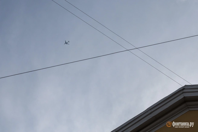 Воронежцев просят сохранять спокойствие | Источник: Михаил Огнев / FONTANKA.RU