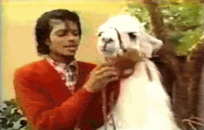 Вечеринка с принцессой Дианой и лама Майкла Джексона: истории о Фредди Меркьюри, не рассказанные в «Богемской рапсодии»