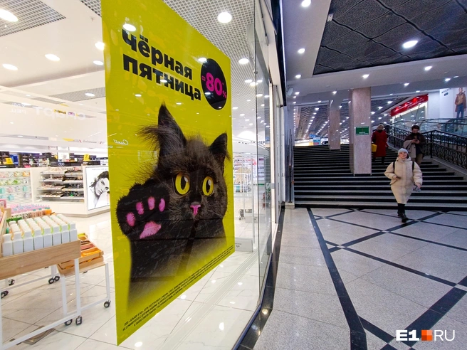 А скидки где? Как в Воронеже весь ноябрь шла «черная пятница», а вы и не заметили | Источник: Владислав Лоншаков / E1.RU