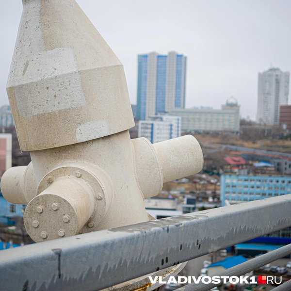 Источник: Елена Буйвол / VLADIVOSTOK1.RU