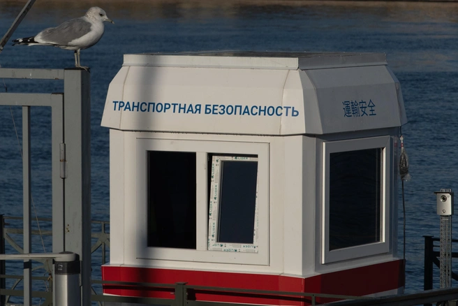 В Минтрансе предложили запретить судимым за насилие перевозить детей | Источник: Михаил Огнев / FONTANKA.RU