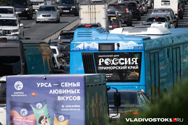 Прошлую компанию сняли принудительно | Источник: Елена Буйвол / VLADIVOSTOK1.RU