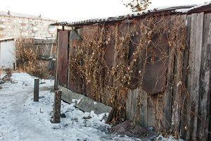 Источник: Ксения Зимина