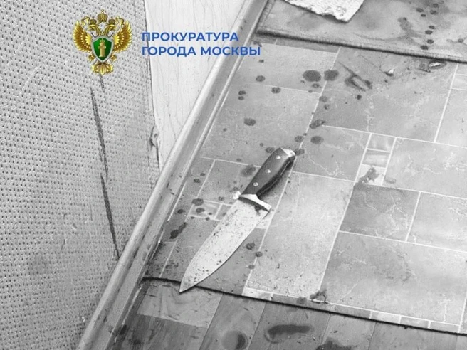RT: 15-летняя москвичка, подозреваемая в убийстве отца, молчала о конфликтах с отцом | Источник: Прокуратура Москвы