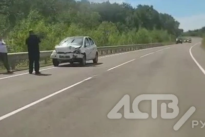 Медведь погиб под колесами авто на трассе