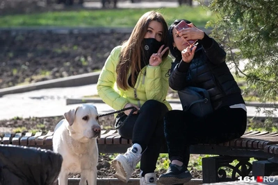 Обзор недели: развод, ссылка, перевал и советы