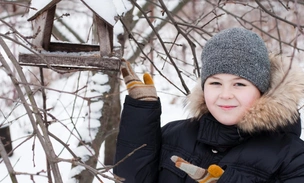 Кроссворд дня № 2: птицы — вспомните пернатых России и получите совет для легкости