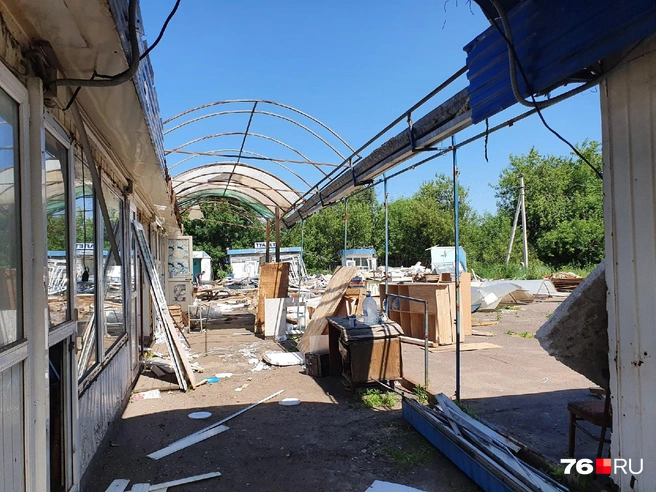 Остался лишь каркас | Источник: Александра Савельева