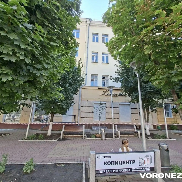Источник: Алена Воропаева / Voronezh1