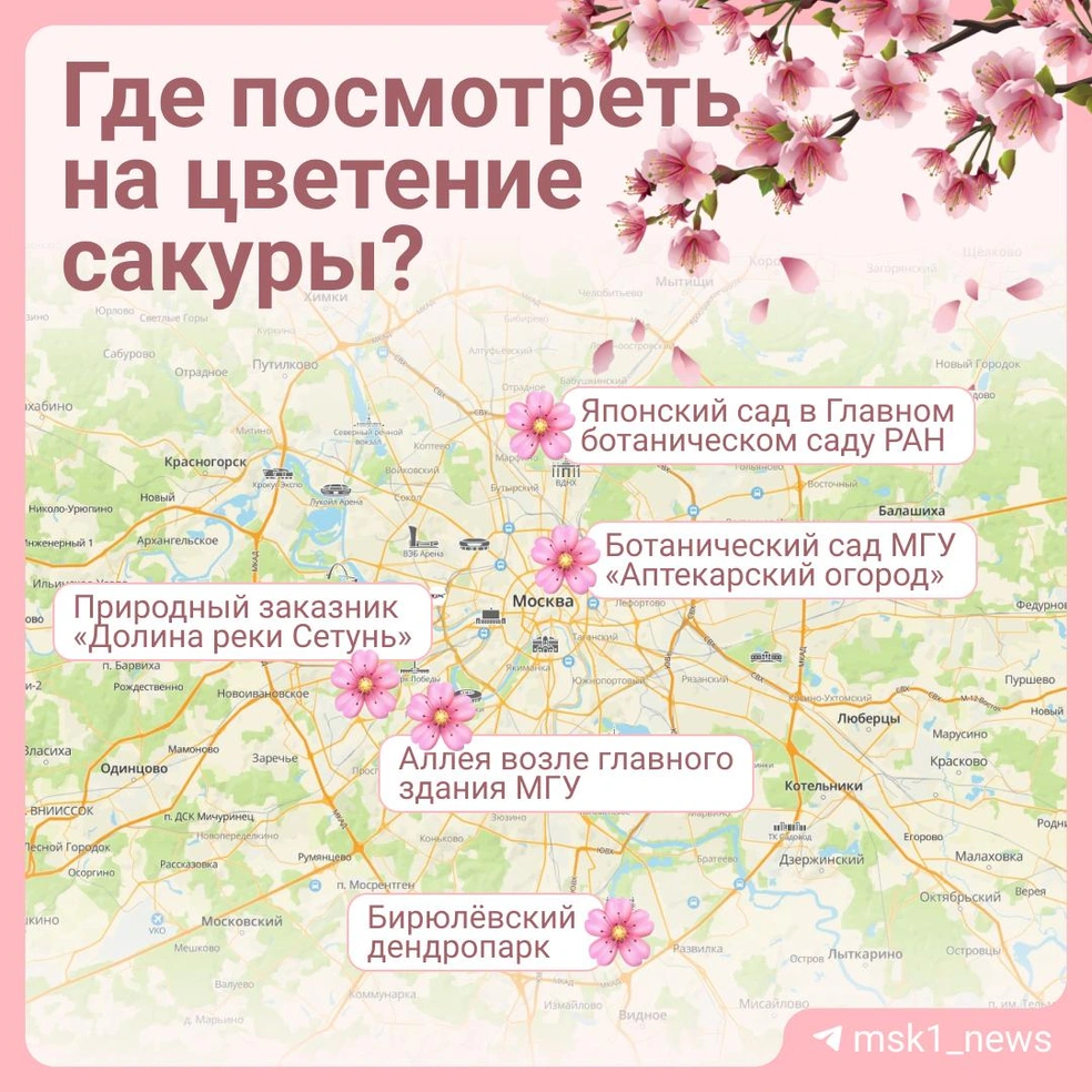 Источник: Максим Бутусов / Городские медиа