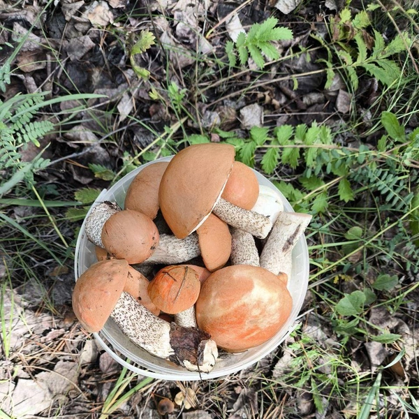 Источник: читатель «Чита.Ру»