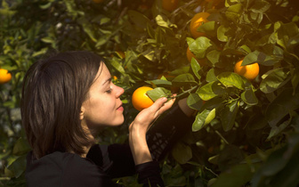 Вдыхайте глубже: запах спелых фруктов победил раковые клетки