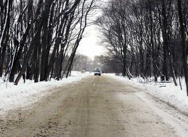 Сорокина пообещала построить дорогу в Качево и пустить по ней городской транспорт | ya62.ru