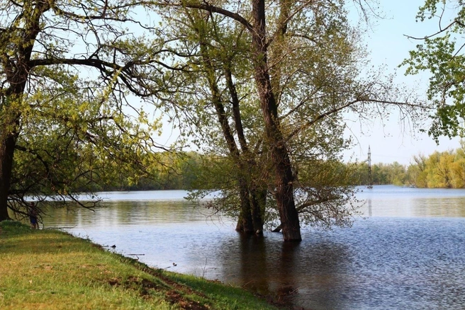 Кое-где остров еще затоплен «большой водой» | Источник: читатели V1.RU