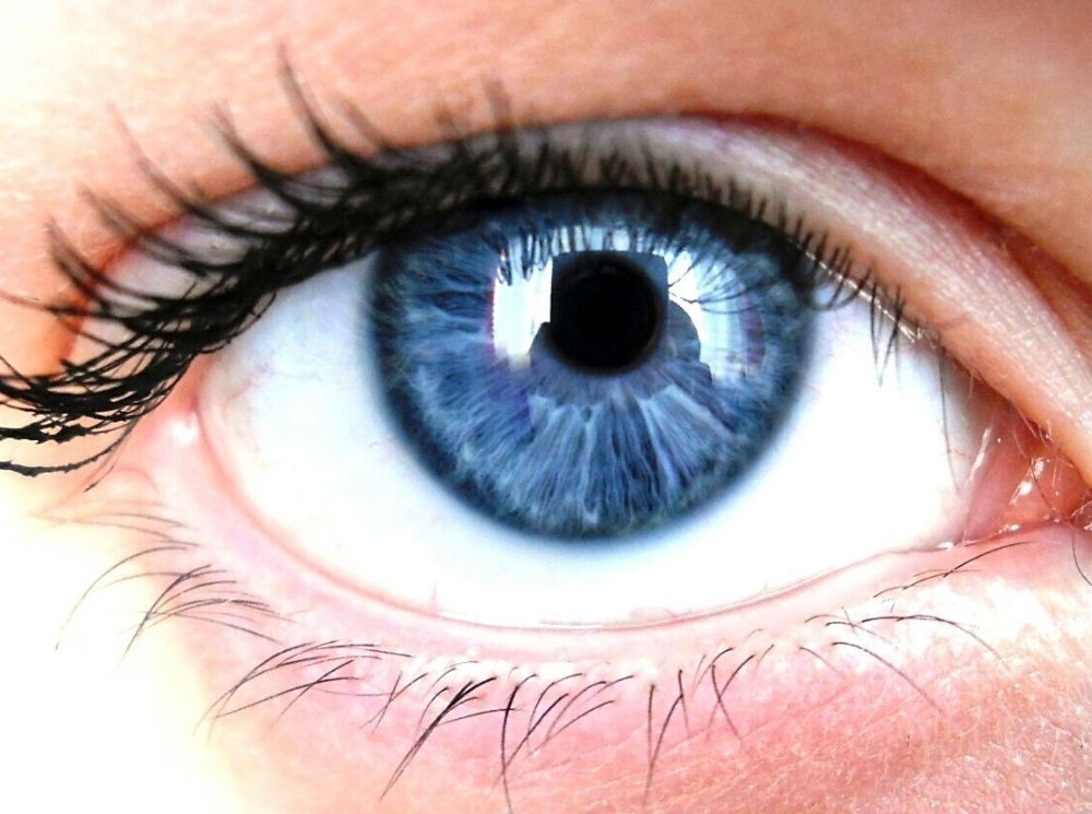 Темно Голубые Глаза Фото