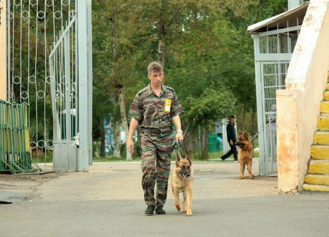 Источник: Андрей Олегович