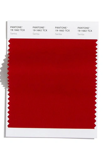 PANTONE 19-1662