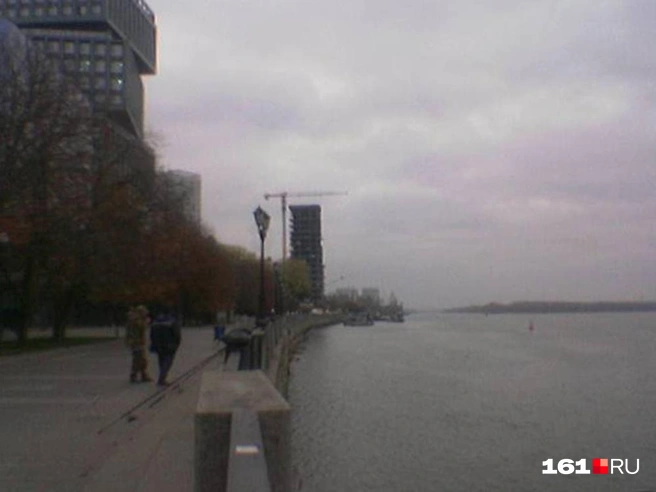 Иногда бывает сложно разобрать, что вообще сфотографировано | Источник: Евгений Вдовин / 161.RU