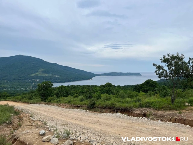 Источник: Алиса Князева / VLADIVOSTOK1.RU