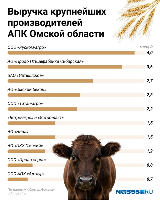 Выручка крупнейших производителей исчисляется миллиардами рублей  | Источник: Евгения Бикунова / Городские медиа 