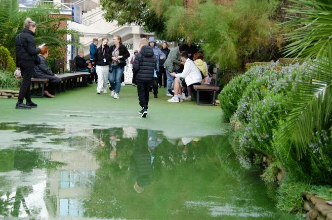 Бесплатное зеркало. У природы свои ответы на городское благоустройство | Источник: Оксана Витязь / SOCHI1.RU
