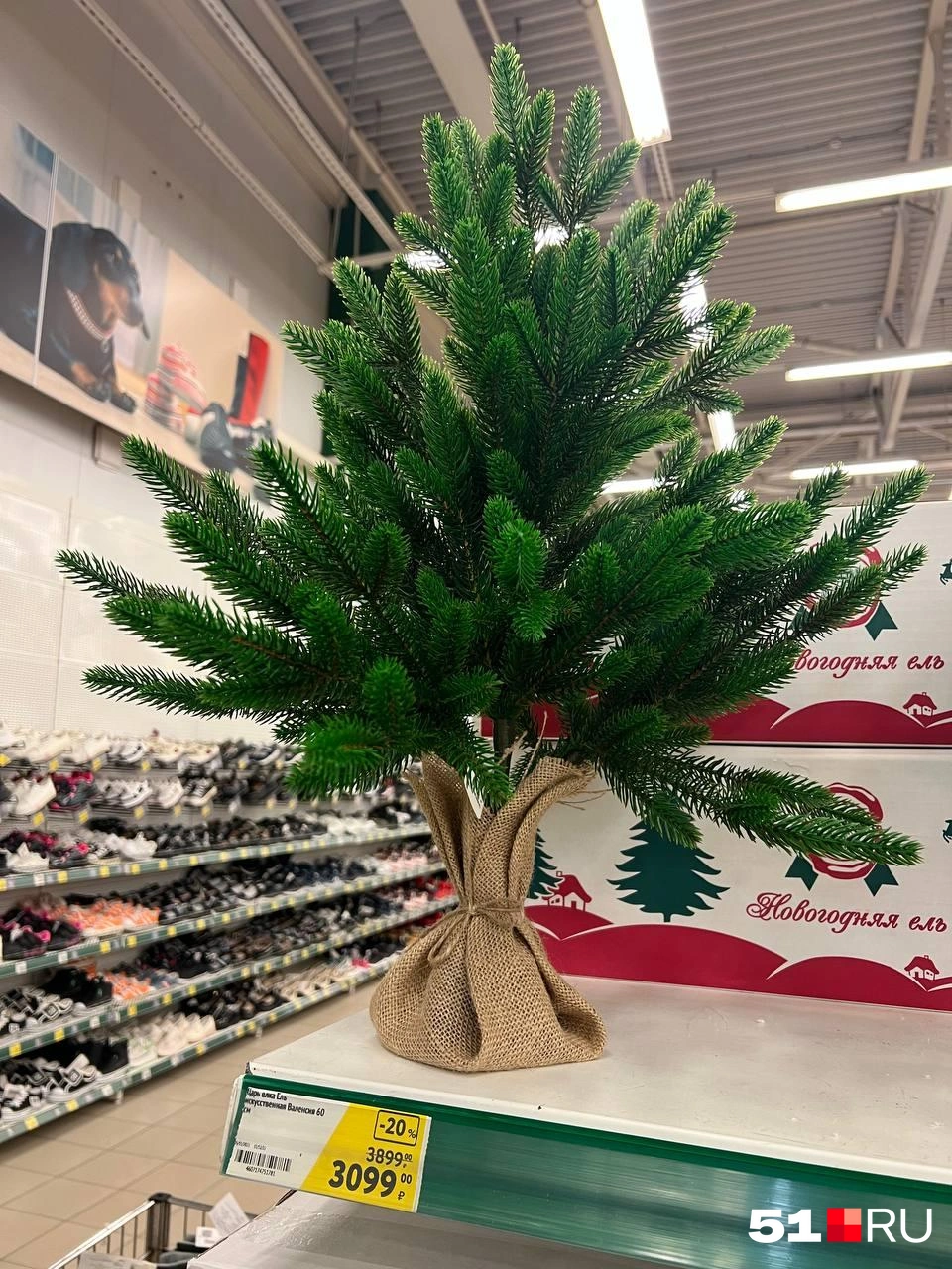 Источник: Александра Балаба