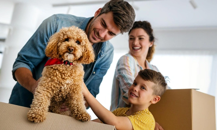 Собаки учат новые слова, подслушивая людей, выяснили в Будапештском университете | Источник: iStockphoto/nd3000