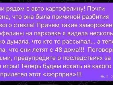 Владелица автомобиля попросила родителей провести беседу со своими детьми. | Источник: читатель 74.RU