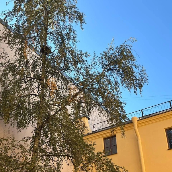 Источник: БС АРТ ДЕВ