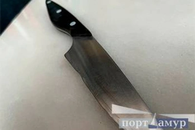 Женщина ранила ножом мужчину во время застолья в Благовещенске