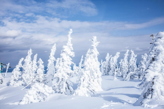 Снег парализовал автобусы в Шерегеше | 142.ru
