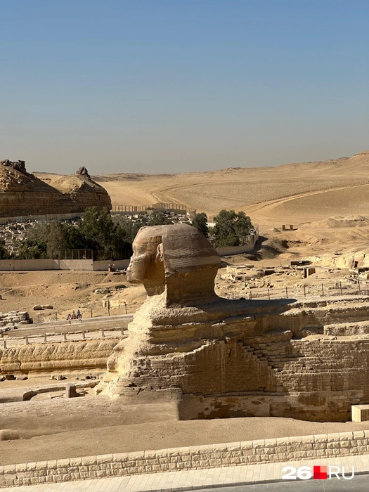 Великий Сфинкс Гизы | Источник: Габриелла Захарова / 26.RU