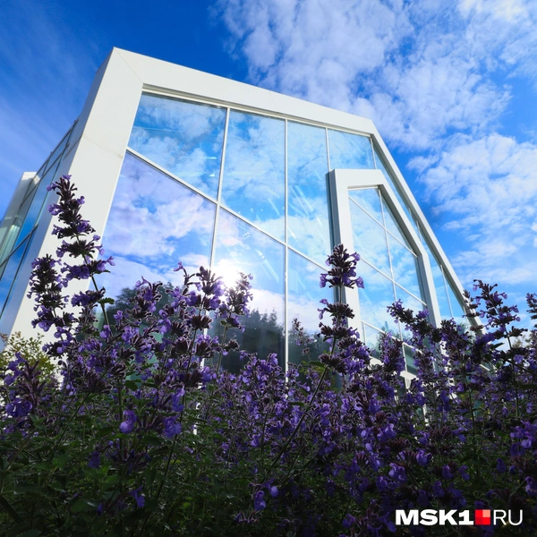 Источник: Артём Устюжанин / MSK1.RU