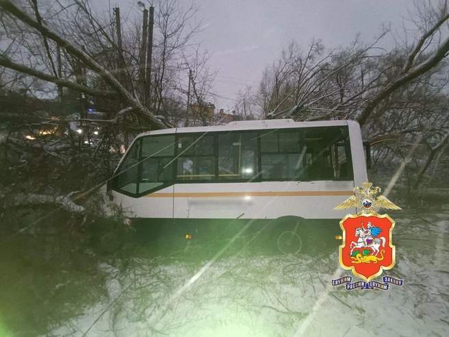 Всего в микроавтобусе ехали восемь человек | Источник: Подмосковная полиция / T.me