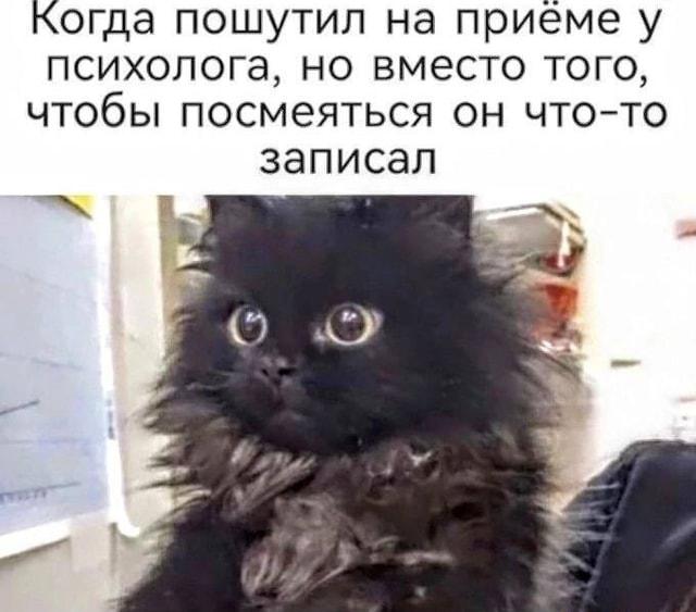 «Кто первый халат надел — тот и врач»: 10 мемов про психиатрию