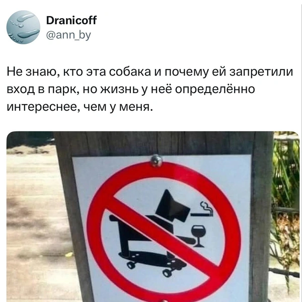 Источник: X (Twitter)