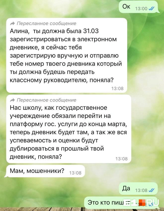 Девочка не поверила «завучу» | Источник: Читатель E1.RU 