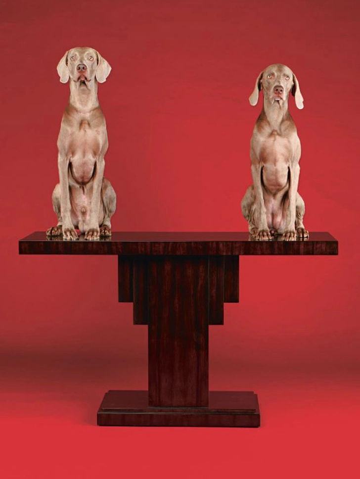 Фотопроект William Wegman фото [1]