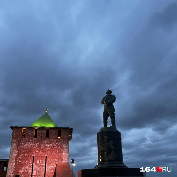 Источник: Антон Васильченко / 164.RU