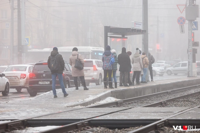 В 7 утра пора бежать на любимую работу | Источник: Алексей Волхонский / V1.RU