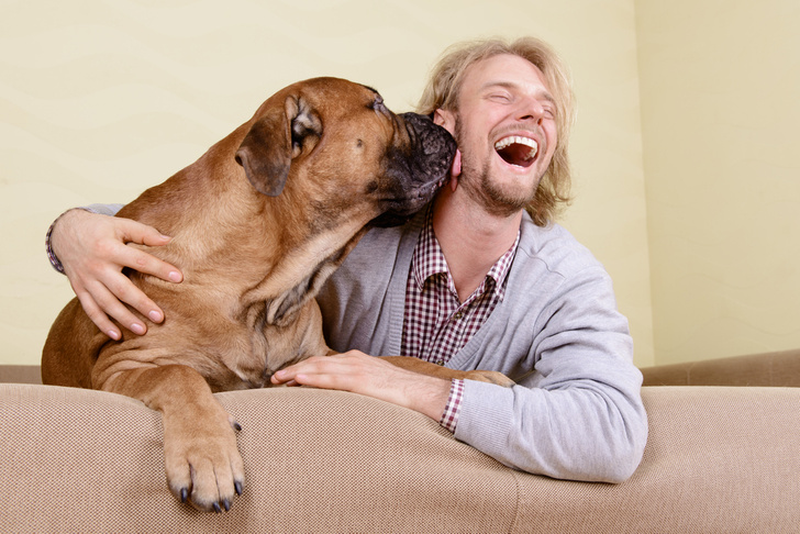 Любовь между собакой и человеком существует на биохимическом уровне