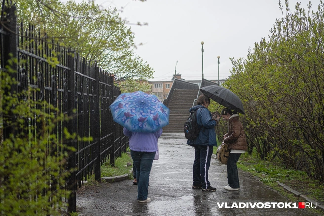 Может понадобиться зонт | Источник: Елена Буйвол / VLADIVOSTOK1.RU