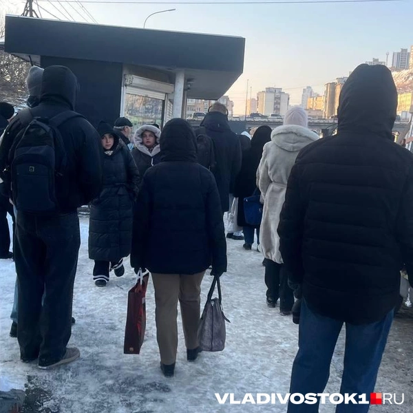 Источник: Елена Буйвол / VLADIVOSTOK1.RU