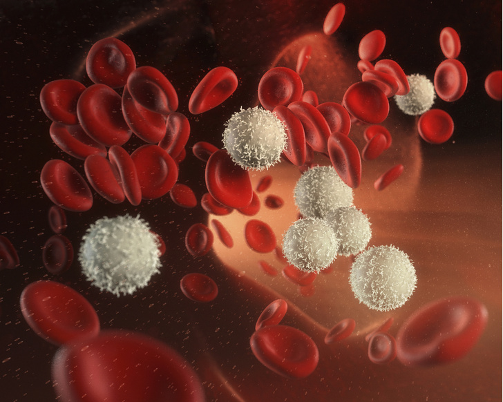 снижение лейкоцитов в крови